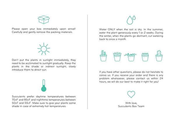 Succulents for Sale, Types of Succulents, Succulents Shop in California, Succulents and Cactus Plants, Cactus Box, Subscription Box with Care Instruction, Succulent Subscription Box