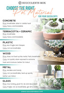 Houseplant pot decor ideas, Where to buy succulent houseplant pots online, Types of ceramic plant pots for sale