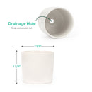 Modern Pot Decor for Home or Office, High Quality Ceramic Pot for Plants and Flowers, Modern Style Indoor Ceramic Planter, Small Minimalist Pot