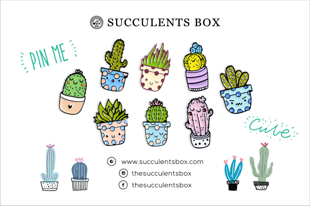 succulent push pins Funny Cartoon Potted Succulents Pin | Cactus in a Pot Pin Badge | Succulent Gifts