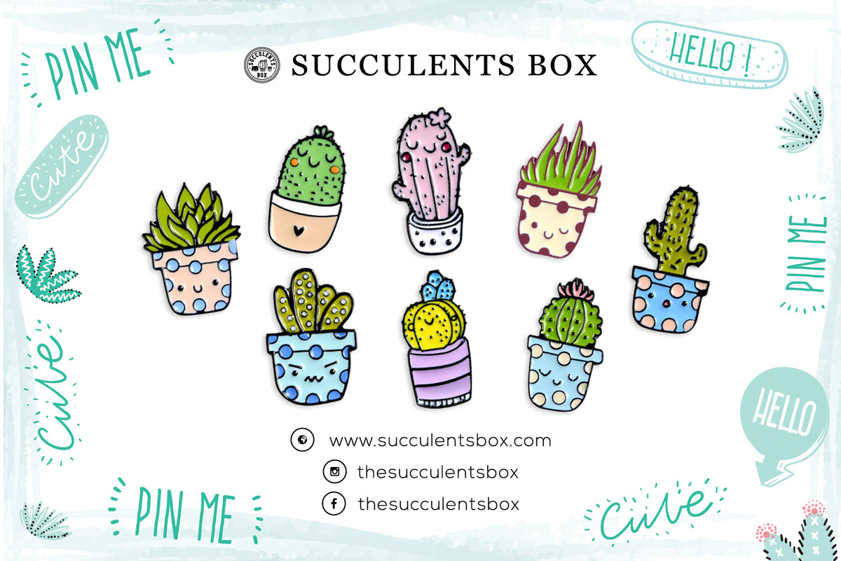 Funny Cartoon Potted Succulents Pin for sale, Cactus in a Pot Pin Badge, Succulent Gift Ideas