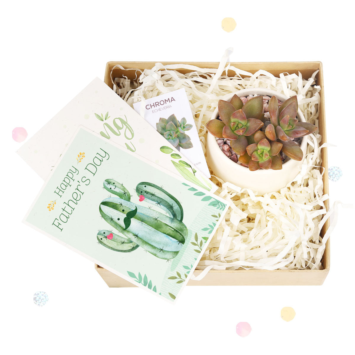 Father&#39;s Day Gift Box, Father&#39;s Day Gift Box Ideas, Plant Dad Gifts, Gifts for Dad, Father&#39;s Day Gifts Delivery 2025, Plant Gifts for Men, Happy Father&#39;s Day Gift, Succulent Gift for Men, Thank You Gift Dad, Appreciation Gift for Dad