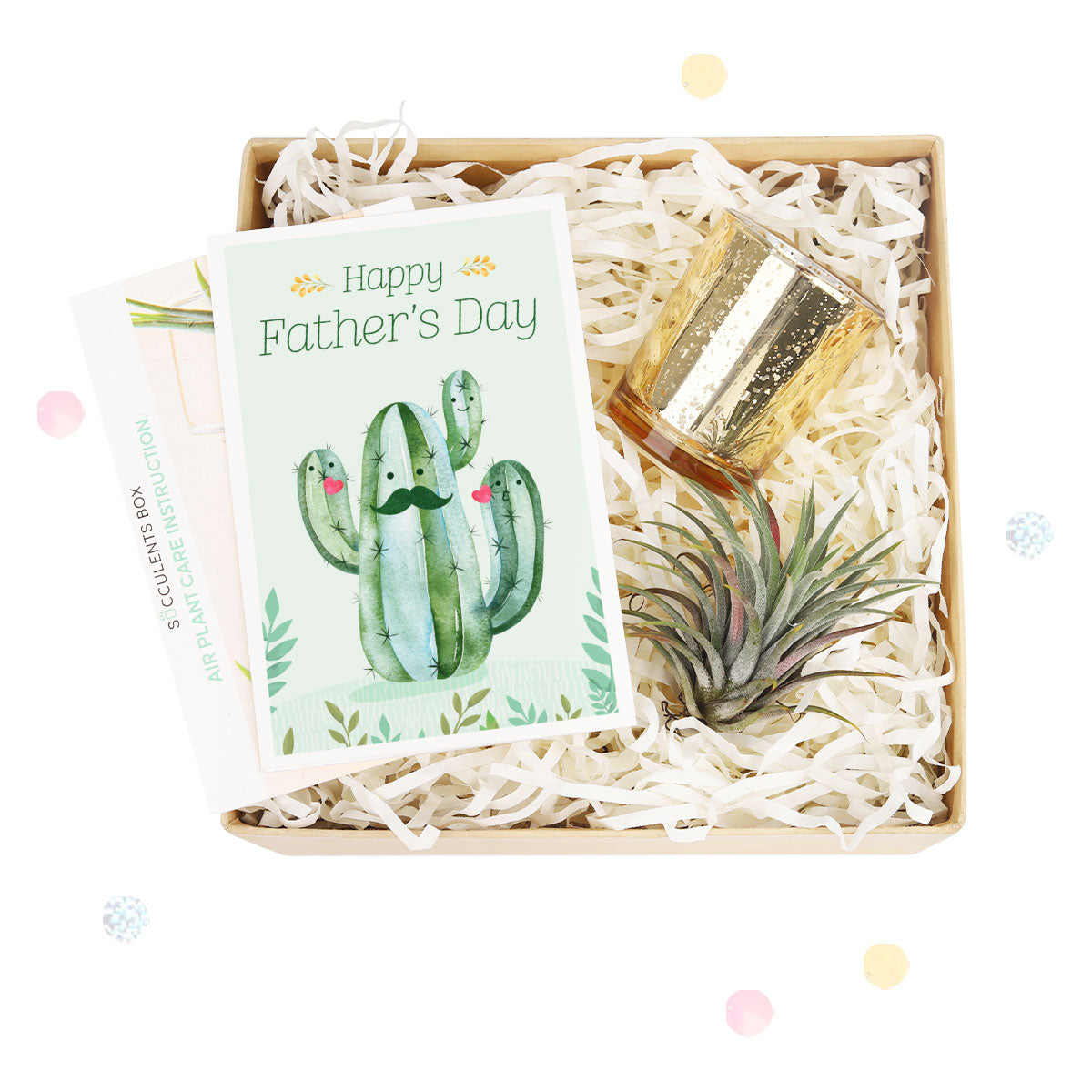 air plant gift delivery Thank You Gift Box with Succulent, Candle & Personalized Note