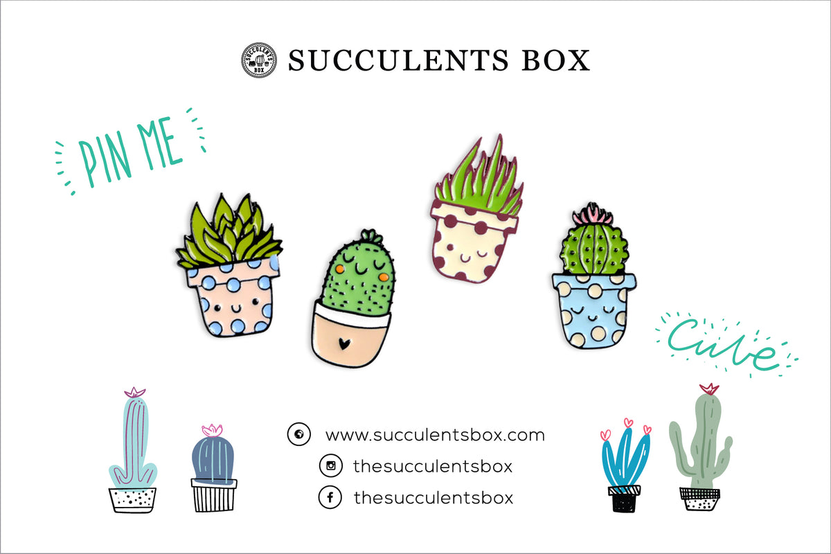 Funny Cartoon Potted Succulents Pin for sale, Cactus in a Pot Pin Badge, Succulent Gift Ideas