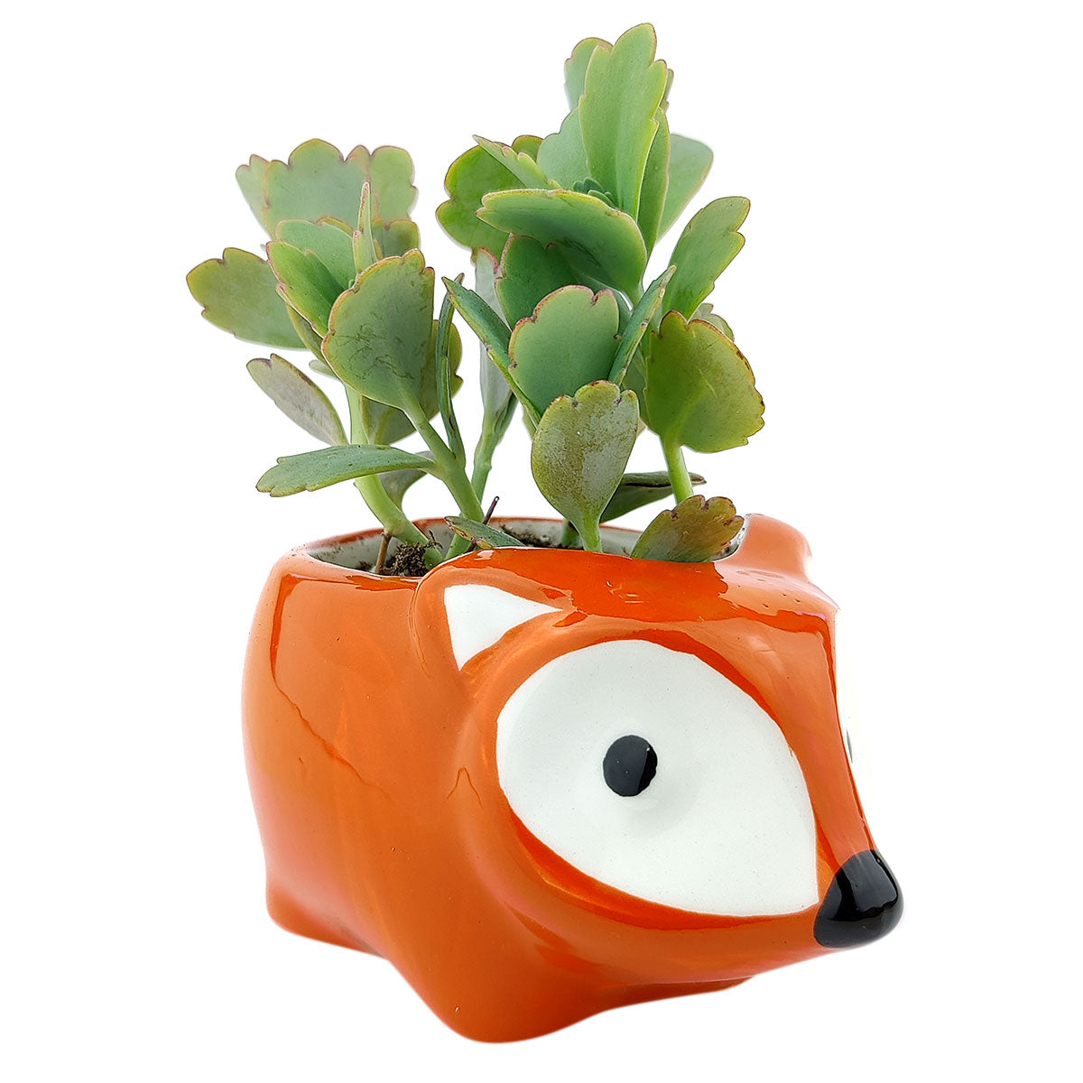 Fox Pot for sale, Cute Ceramic Succulent Pot, Fox Planter Decor, Craft Supplies, Succulent Gift Ideas, Fox Succulent Pot