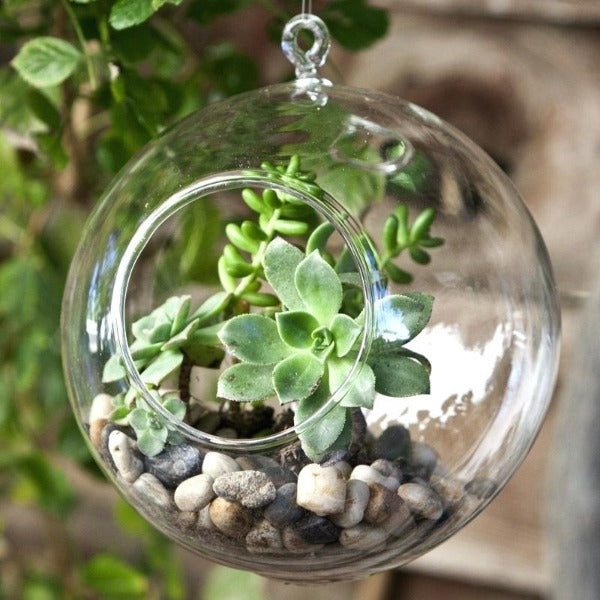 hanging glass globe planter 2'' Glass Globe Terrarium Pot for Air Plants
