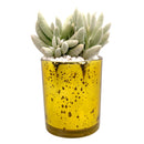 Pot for sale, Mini pot for succulent, Succulent pot decor ideas, Gold sparkly pot, Flower pot for sale, glass pots for planting, succulent gift for holiday