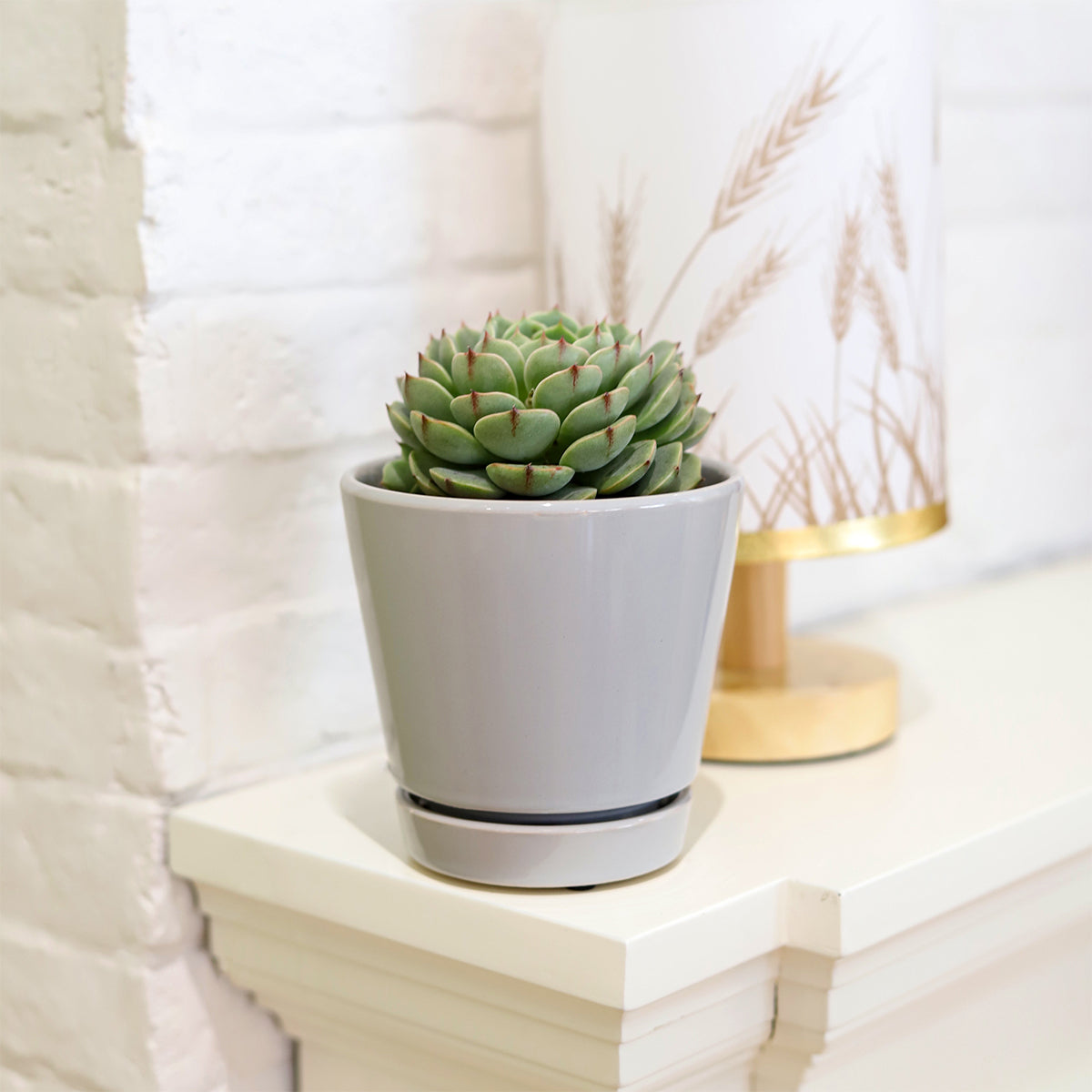 minimalist pot for succulent, 4 inch pot for succulent and cactus, ceramic pot for small succulent