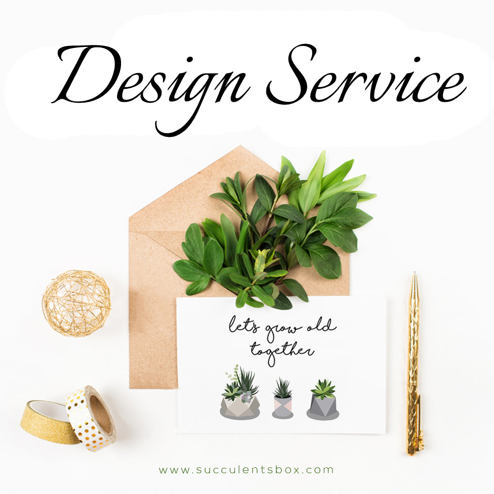 Desogn Service Custom, Creative, And Affordable Graphic Design Service | Succulents Box