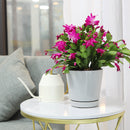 minimalist pot for indoor plant, 4 inch gray ceramic pot, medium plant pot