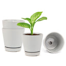 gray ceramic pot pack for sale, modern ceramic pot for houseplants and succulents, minimalist pot with drainage hole and saucer, plant pot gift ideas