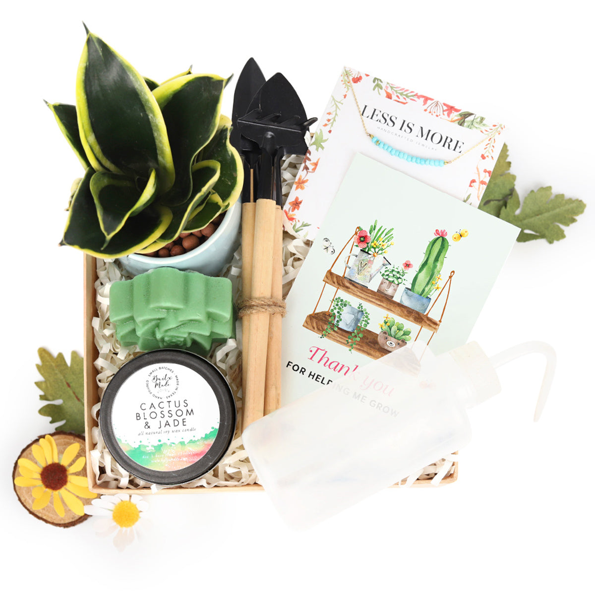 house plant gift box, house plant box gift, gift box, Premium Houseplant Gift Box, Premium Houseplant Gift Box for sale, buy Premium Houseplant Gift Box online 2025