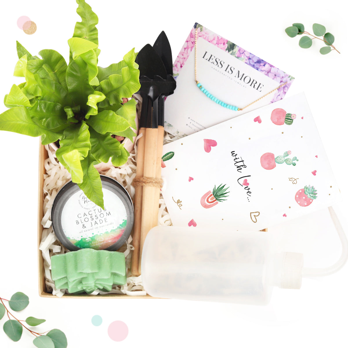 house plant gift box, house plant box gift, gift box, Premium Houseplant Gift Box, Premium Houseplant Gift Box for sale, buy Premium Houseplant Gift Box online, gift box with greeting card 2025