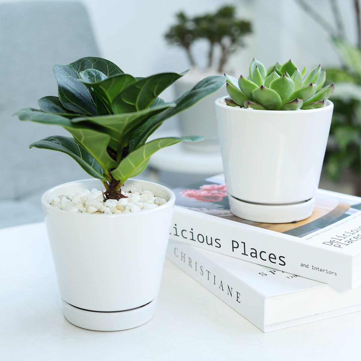 4 oz succulent pot 4 inch White Minimalist Pot | Minimalist Style Ceramic Decor for Home and Office