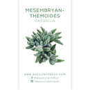 Crassula Succulent ID Cards