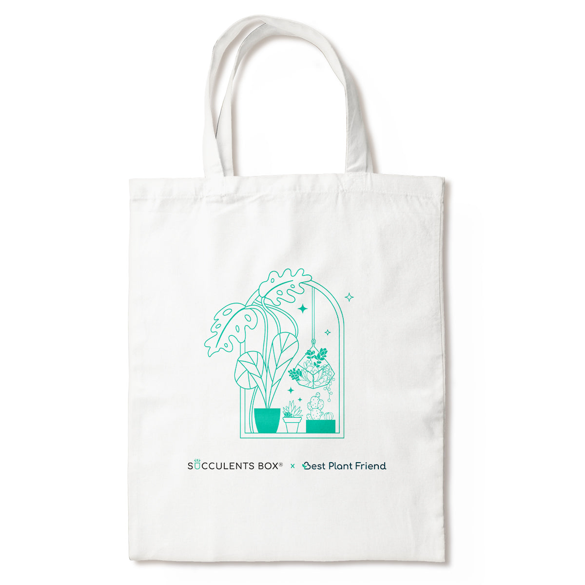 succulent tote bag Succulents Box