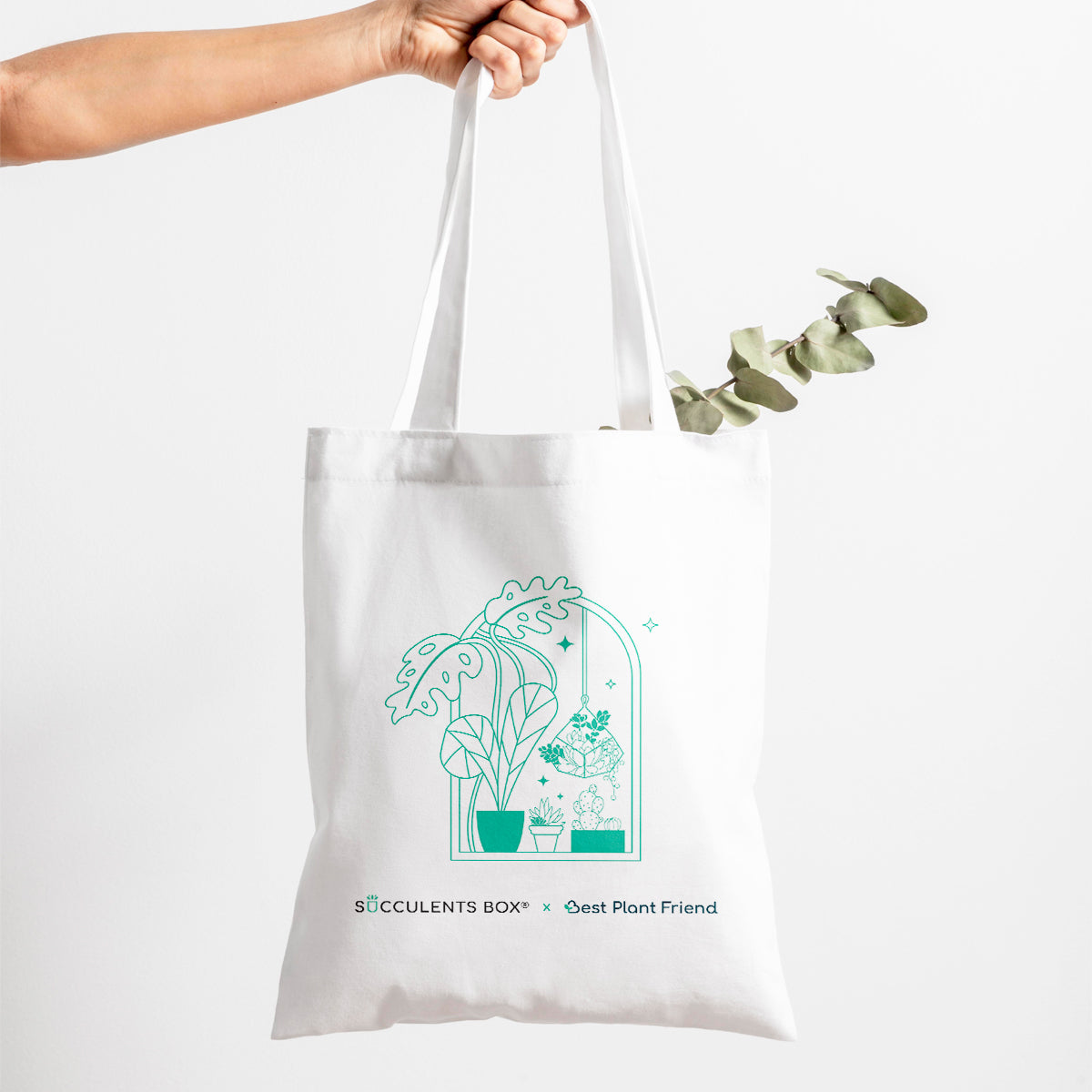 canvas tote bag, eco-friendly bag, everyday life tote bag, reusable canvas bag, eco-friendly gift ideas, gifts for holiday and new year, succulent and houseplant tote bag