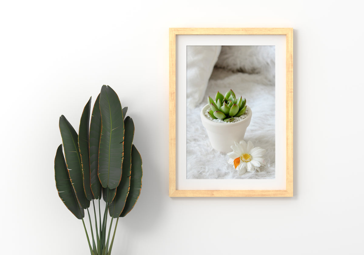 Printable Succulent Wall Art for sale, Succulents gift Ideas, Succulent Art Prints, Succulent Wall Decor, Watercolor Cactus Prints for sale