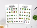 Succulent Postcards for sale, Cute Plant Postcards for sale, Cactus Postcard for sale, Succulent Gift Ideas for any Occasion, Gifts for Succulent Lovers, Succulents for Beginners, Succulents for sale, Succulents Shop in California, How to identify Succulent Plants