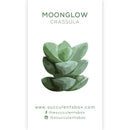 Crassula Succulent ID Cards