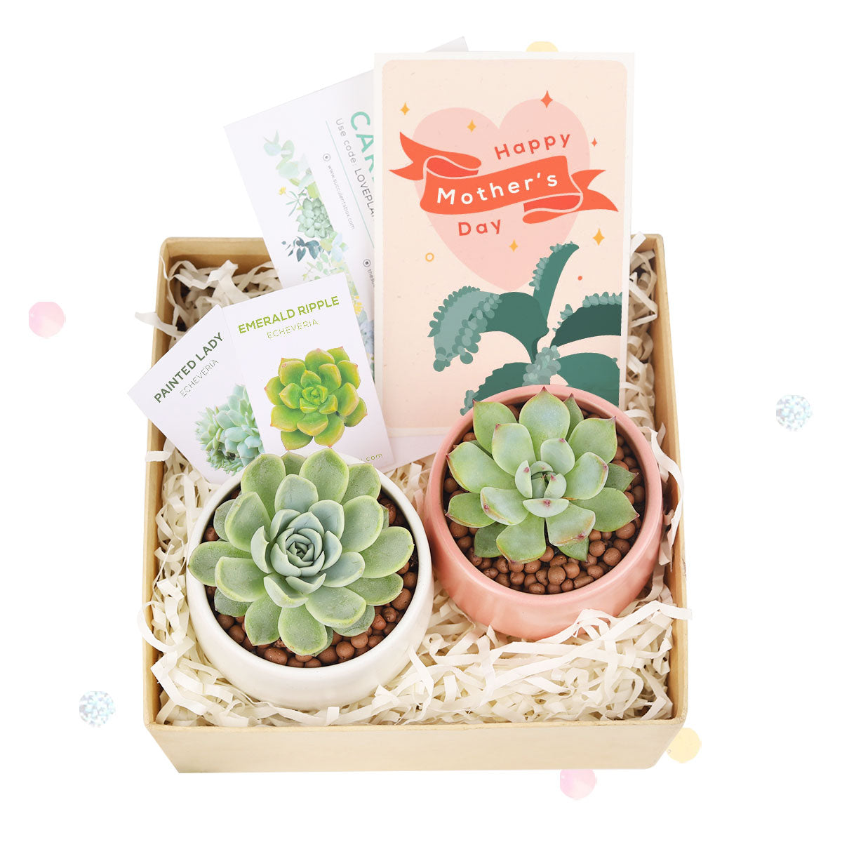 EcoFriendly Succulent Gift Box for Employee, Corporate Gift Succulents For Sale Online, Succulent Thank You Gift Ideas, Thank you gift for your staff in 2022, Customizable Gift Boxes for employees and clients, Office gift for employees, Employee appreciation day 2022 ideas, Succulent Plants for Clients &amp; Employees for sale
