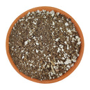 Succulent Potting Soil, Potting Soil, Succulent Care, Succulent Soil