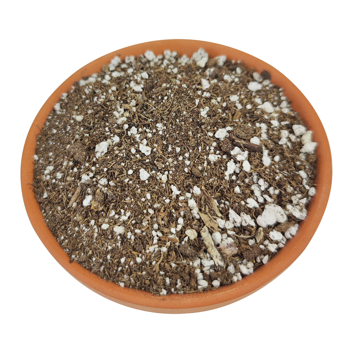 succulent potting mixture Succulent Potting Soil | Organic Cactus and Succulent Soil Mix
