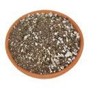Succulent Potting Soil, Potting Soil, Succulent Care, Succulent Soil