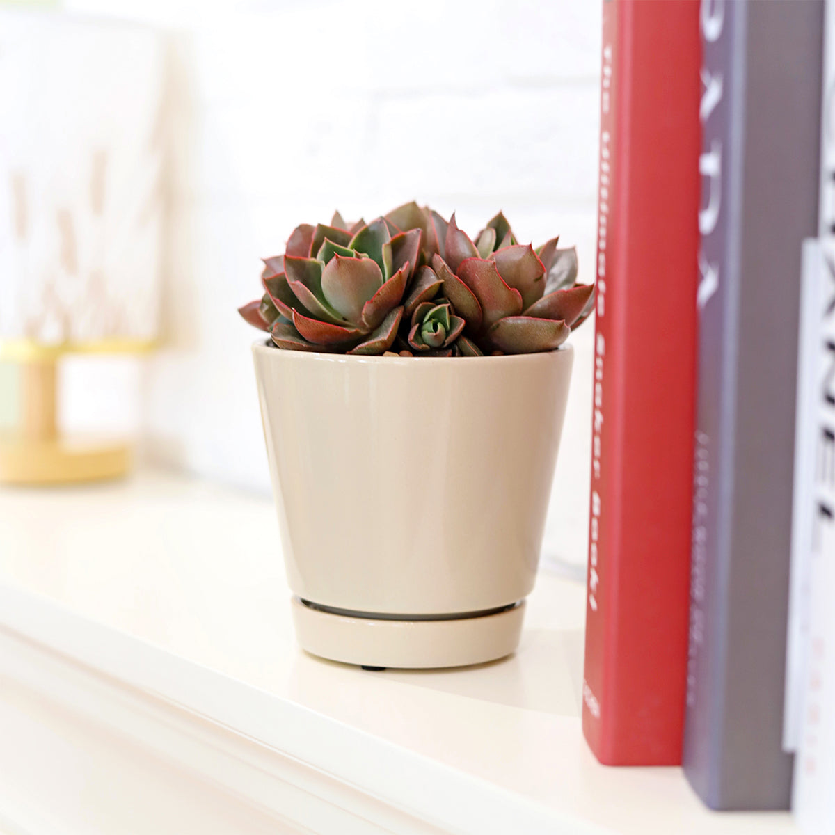 4 inch oatmeal ceramic pot for succulent, 4 inch ceramic pot for small indoor plant, ceramic pot with saucer