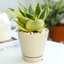4 inch oatmeal pot for sale, ceramic pot with saucer, pot with saucer and drainage hole for plant
