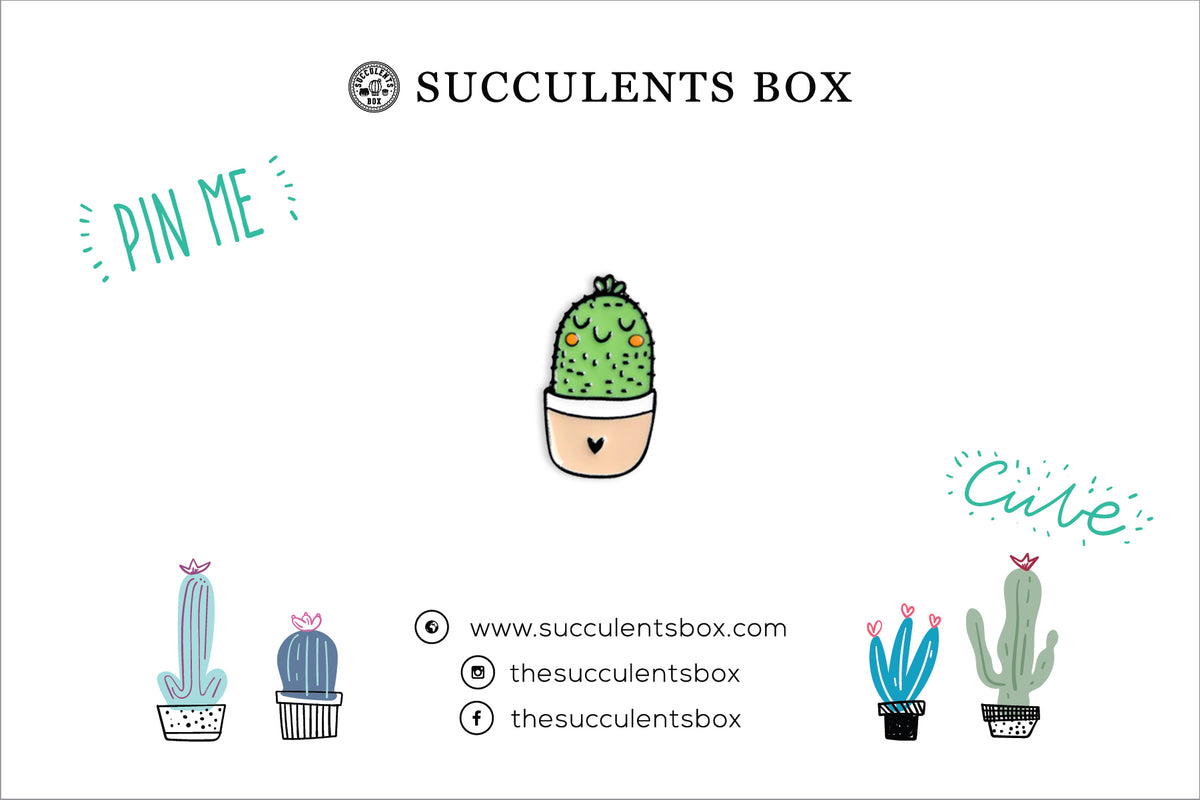 Funny Cartoon Potted Succulents Pin for sale, Cactus in a Pot Pin Badge, Succulent Gift Ideas