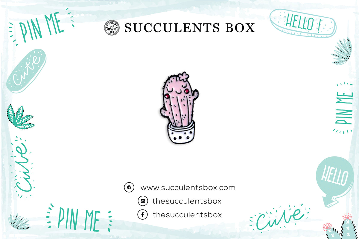 Funny Cartoon Potted Succulents Pin for sale, Cactus in a Pot Pin Badge, Succulent Gift Ideas