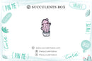 Funny Cartoon Potted Succulents Pin for sale, Cactus in a Pot Pin Badge, Succulent Gift Ideas