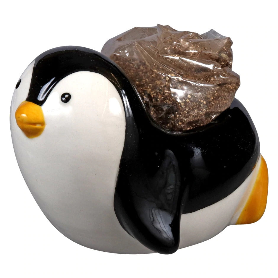 penguin succulent planter Penguins Pot With Seed Growing Kits | Succulent Gift