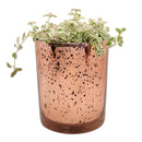 Pot for sale, Mini pot for succulent, Succulent pot decor ideas, sparkly pot pack, Flower pot for sale, glass pots for planting, succulent gift for holiday