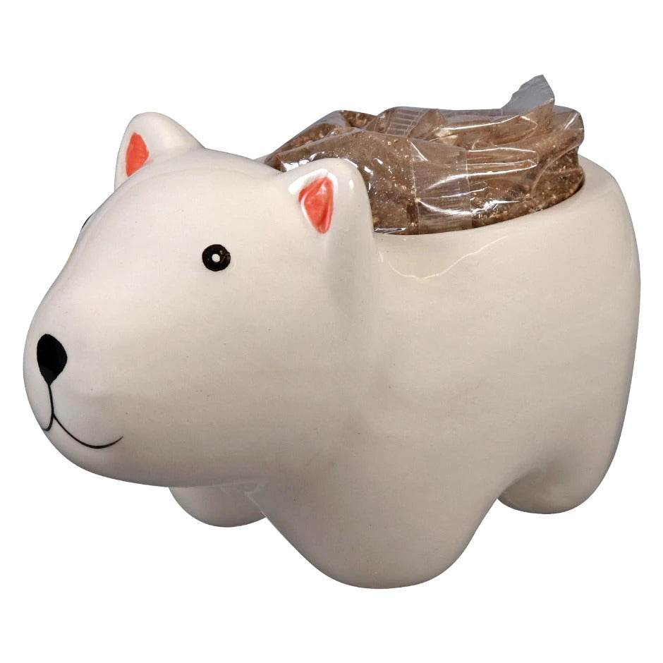 Ceramic Polar Bear Pot for sale, Cute Ceramic Succulent Pot, Polar Bear Planter Decor, Craft Supplies, Succulent Gift Ideas, Polar Bear Succulent Pot, Polar Bears Pot with seeding growing kits