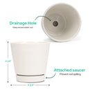 White pot pack, modern pot for houseplants and succulents, minimalist pot with drainage hole and saucer