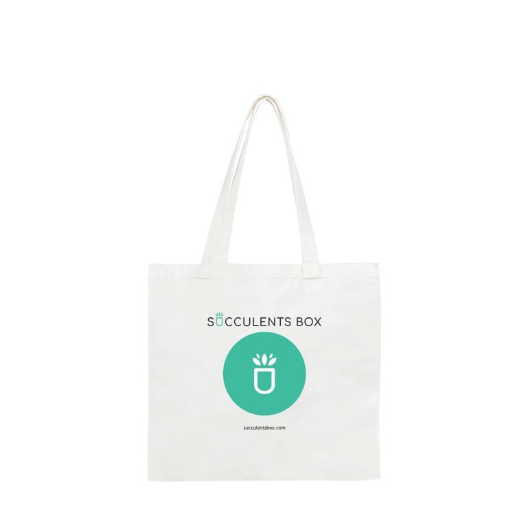 White Canvas Tote Bag for sale, Succulent Gift Ideas