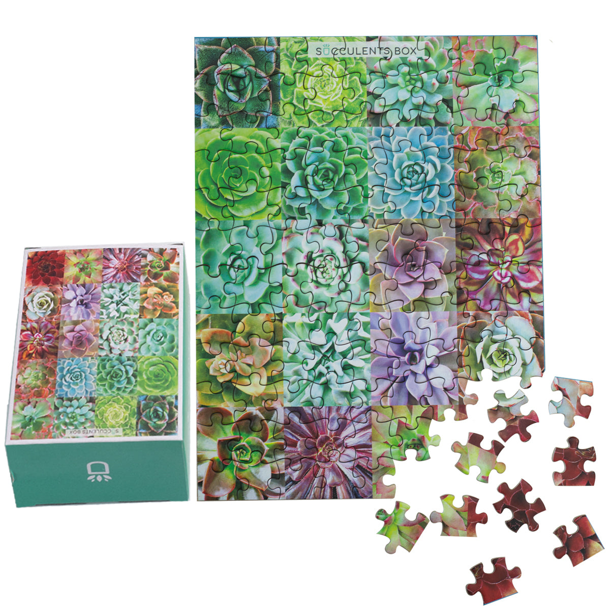 Succulent Plants Puzzle, succulent craft ideas, succulent gift ideas