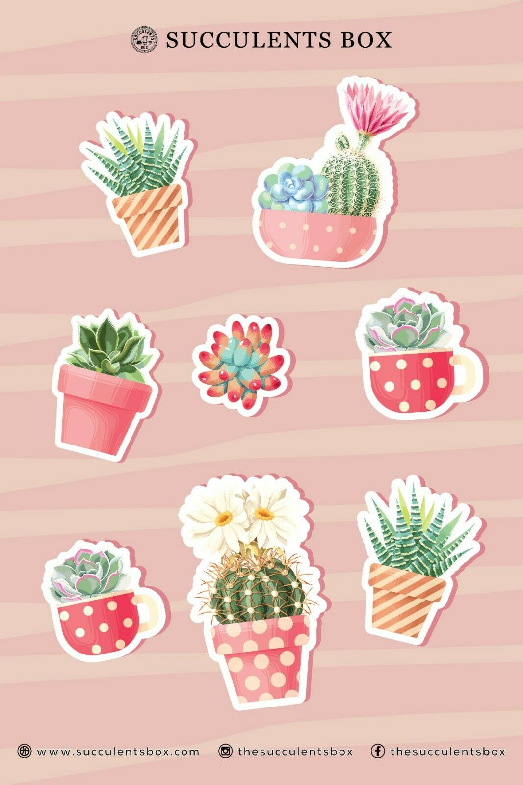 succulent labels Pink Pastel Succulent Stickers