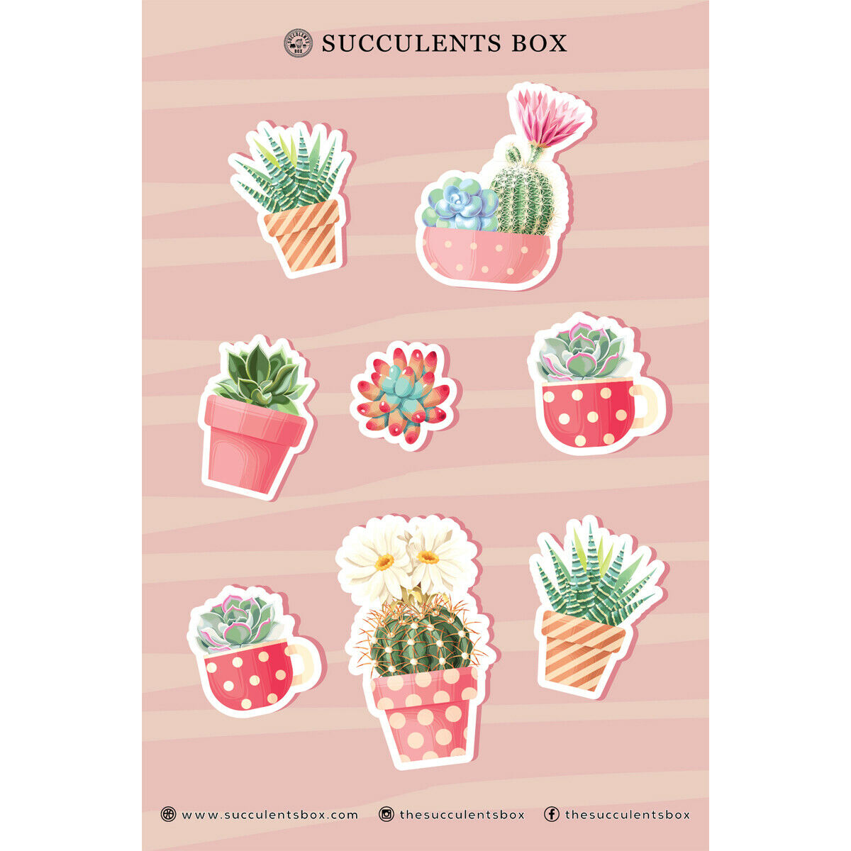 succulent stickers for sale, cactus stickers for sale, succulent craft ideas, succulent gift ideas, cute plant stickers