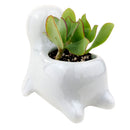 Sea Lion Pot for sale, Ceramic mini pot for succulents and flowers, Ceramic Sea Lion Flower Pot, Cute succulent planter, ideal gifts for mom