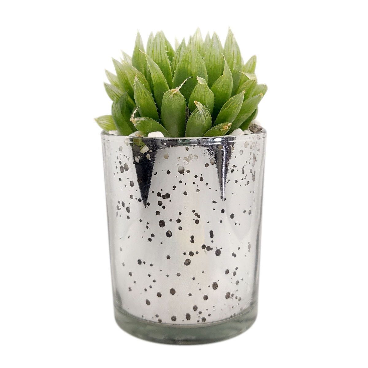 extra large silver indoor plant pots Silver Sparkly Pot | Succulent Pot for sale | Succulent Accessories