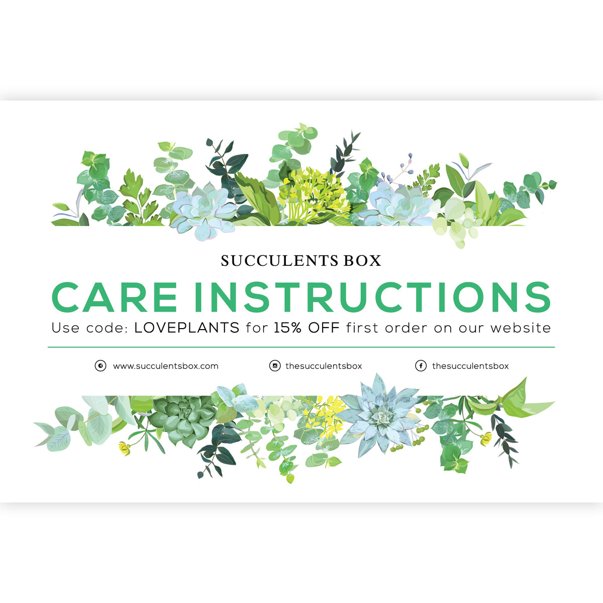 Succulent care card for sale, Succulents care guide, Succulents care instruction, How to care for succulent plants