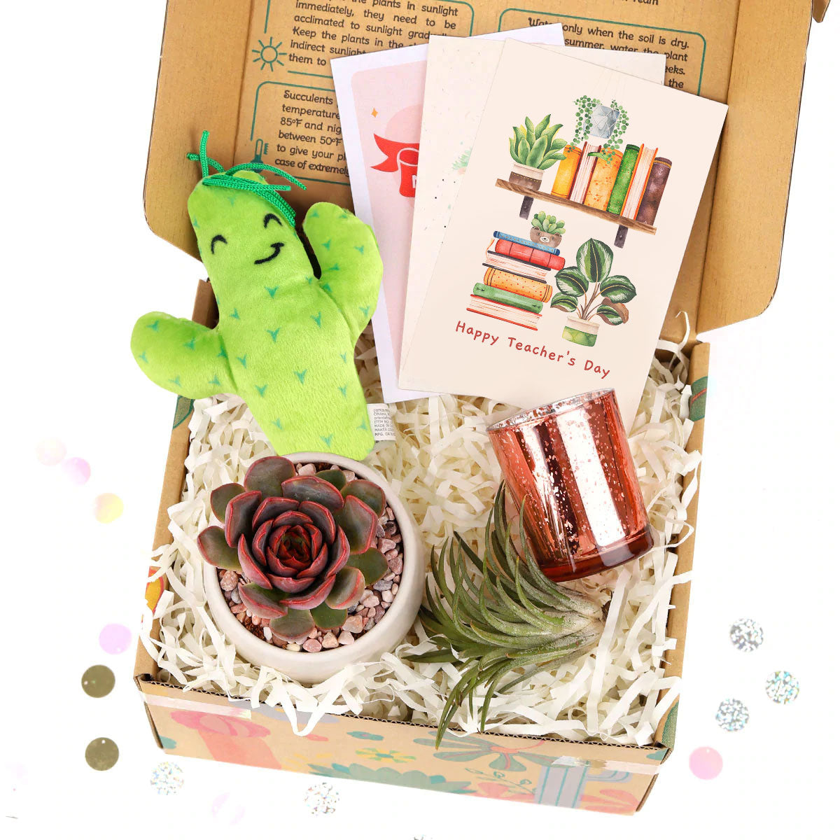 Thank you gift for your staff in 2023, Customizable Gift Boxes for employees and clients, EcoFriendly Succulent Gift Box for Employee, Employee appreciation day 2023 ideas, Succulent Plants for Clients &amp; Employees for sale