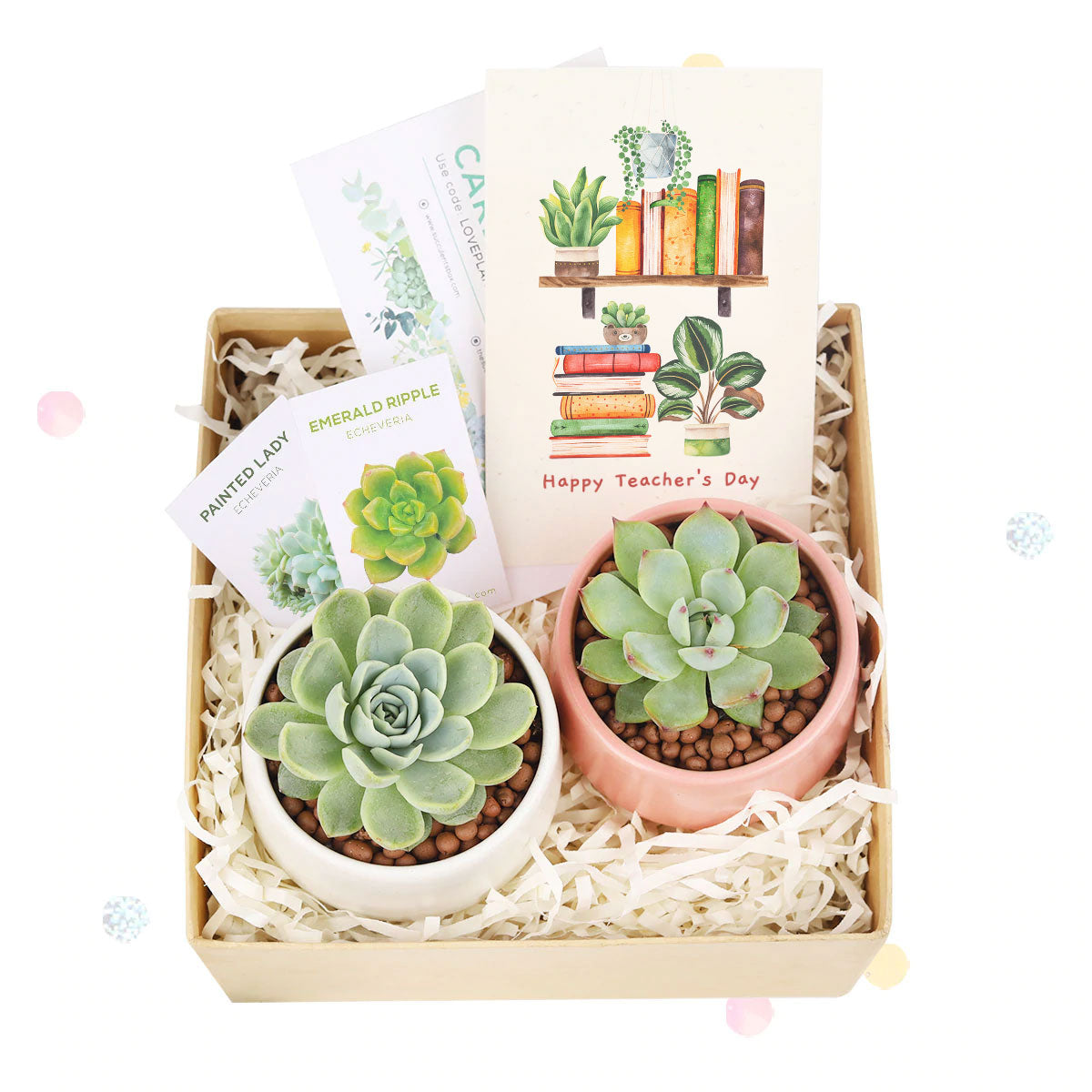 Succulent Plants for Clients &amp; Employees for sale, Corporate Gift Succulents For Sale Online, Succulent Thank You Gift Ideas, Thank you gift for your staff in 2025, Customizable Gift Boxes for employees and clients