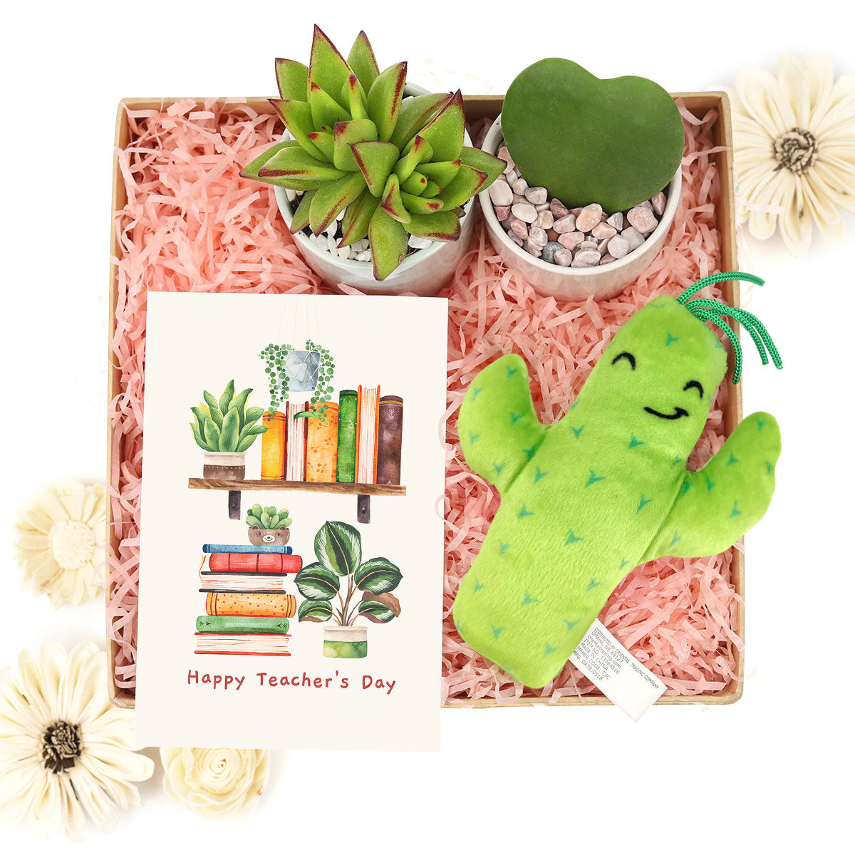 Customizable Gift Boxes for employees and clients, Office gift for employees, EcoFriendly Succulent Gift Box for Employee, Corporate Gift Succulents For Sale Online, Employee appreciation day 2023 ideas