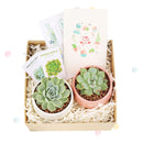 EcoFriendly Succulent Gift Box for Employee, Corporate Gift Succulents For Sale Online, Succulent Thank You Gift Ideas, Thank you gift for your staff in 2022, Customizable Gift Boxes for employees and clients, Office gift for employees, Employee appreciation day 2022 ideas, Succulent Plants for Clients &amp; Employees for sale