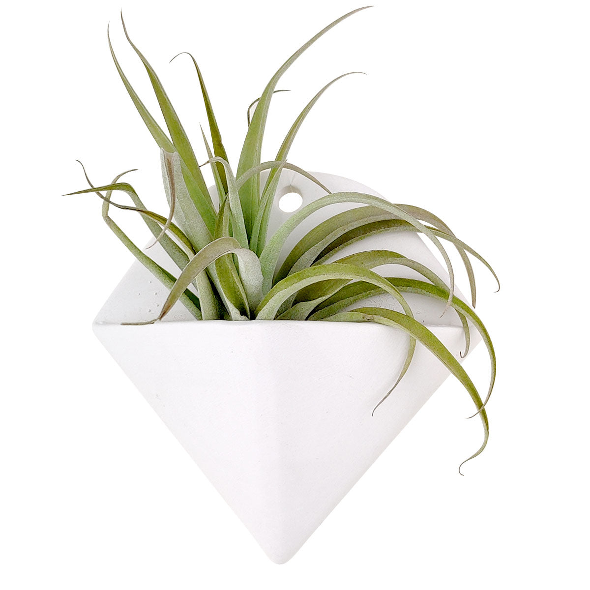 triangle succulent planter Triangle Hanging Planter