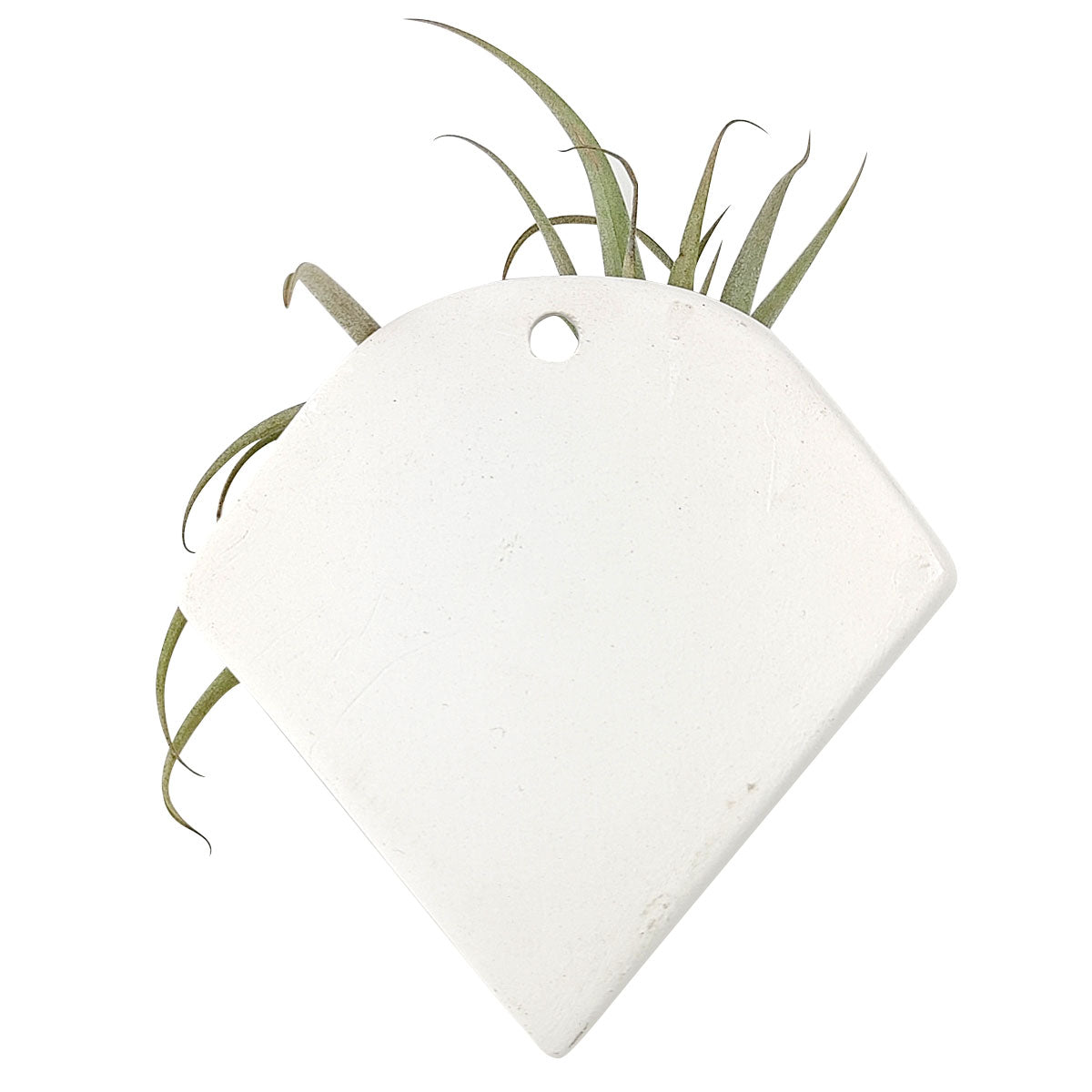 triangular pots for plants Triangle Hanging Planter | Buy Ceramic Air Plant Display